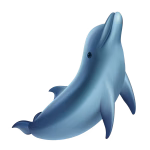 dolphin